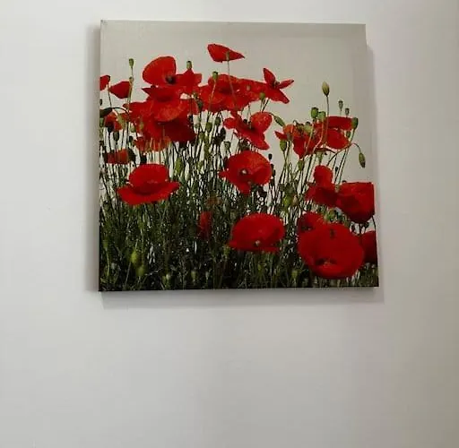 Mona Lisa Bord De アパート マントン